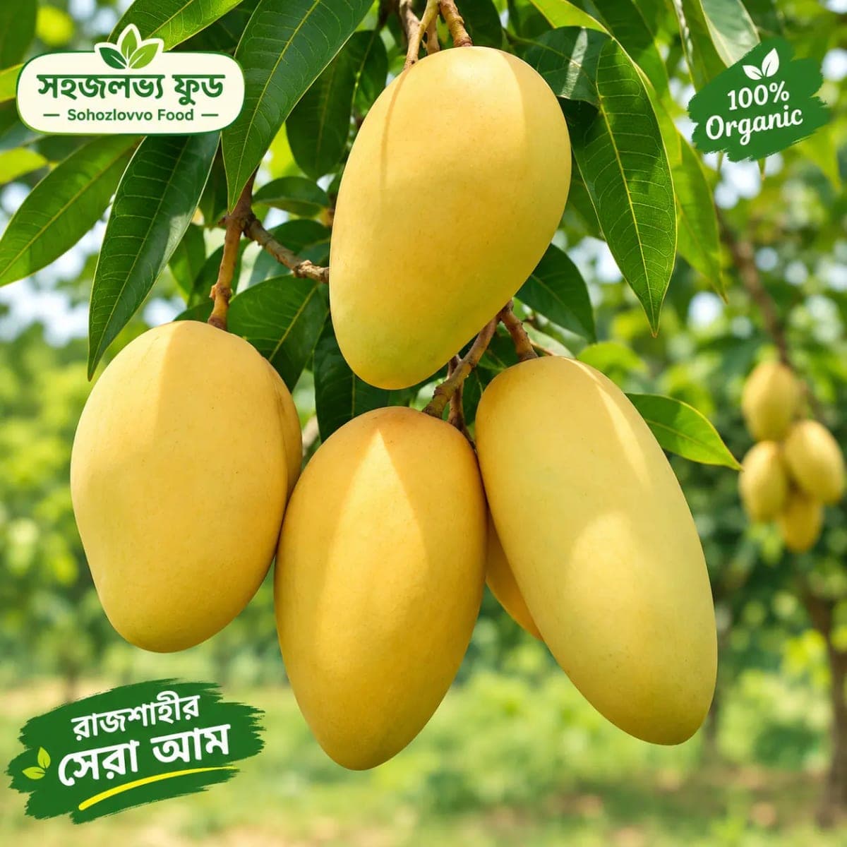 6kg সুইট কাটিমন আম