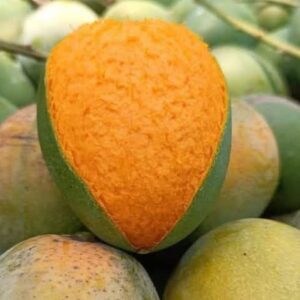 সাতক্ষীরার হিমসাগর আম -২০ কেজি